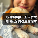 心动小镇第十五天香薰拍照及家具位置溜溜木萤石位置（图4）