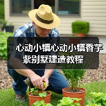 心动小镇心动小镇香芋紫别墅建造教程（图4）