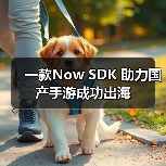 一款Now SDK 助力国产手游成功出海（图2）