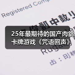 25年最期待的国产肉鸽卡牌游戏《咒语回声》（图3）