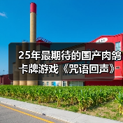 25年最期待的国产肉鸽卡牌游戏《咒语回声》（图4）