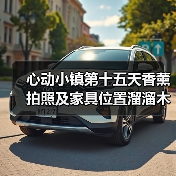 心动小镇第十五天香薰拍照及家具位置溜溜木萤石位置（图1）