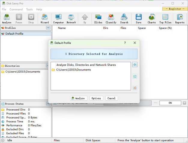 Disk Savvy Pro x32