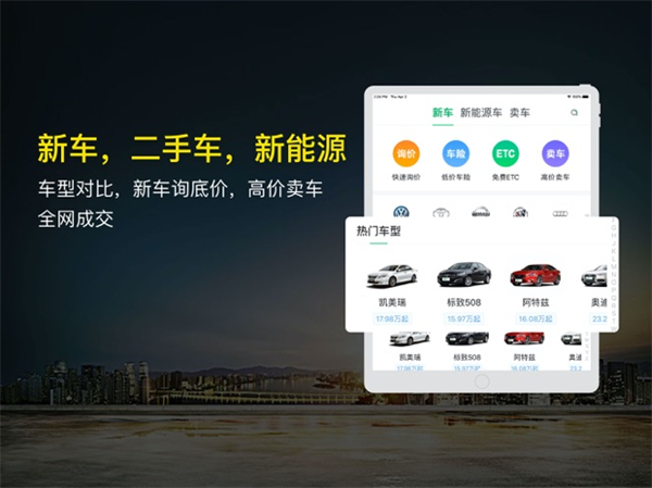 微车查违章ipad