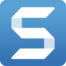 TechSmith SnagIt - Gene下载热门游戏